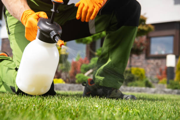 Best Affordable Pest Control Services  in Towaoc, CO
