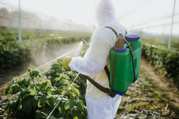 Pest Control for Restaurants in Towaoc, CO